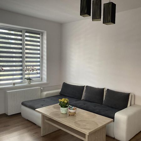 Apartament W Centrum Malborka Екстер'єр фото