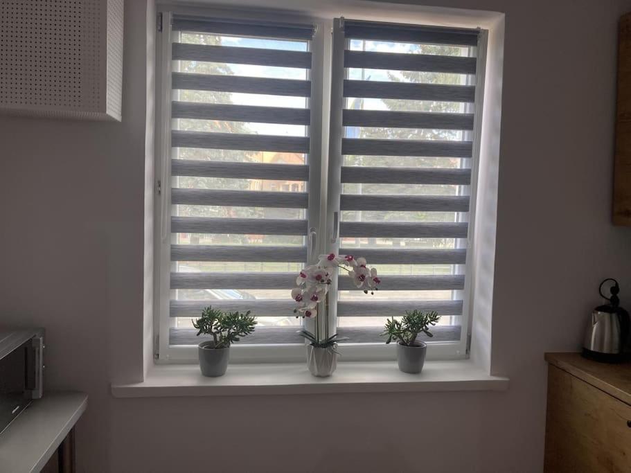 Apartament W Centrum Malborka Екстер'єр фото